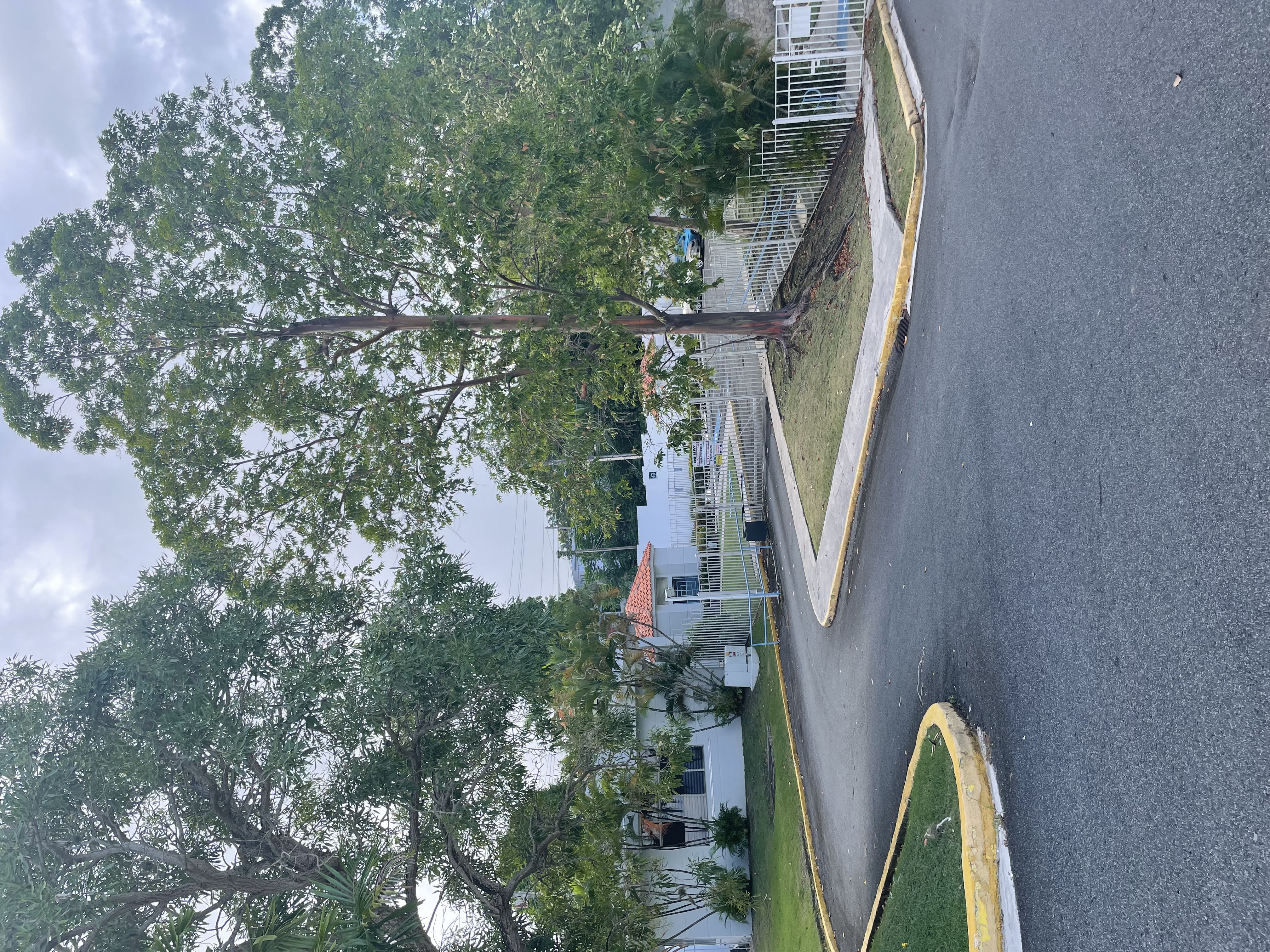 Apartamento Condo. Porticos De Guaynabo — imagen 11
