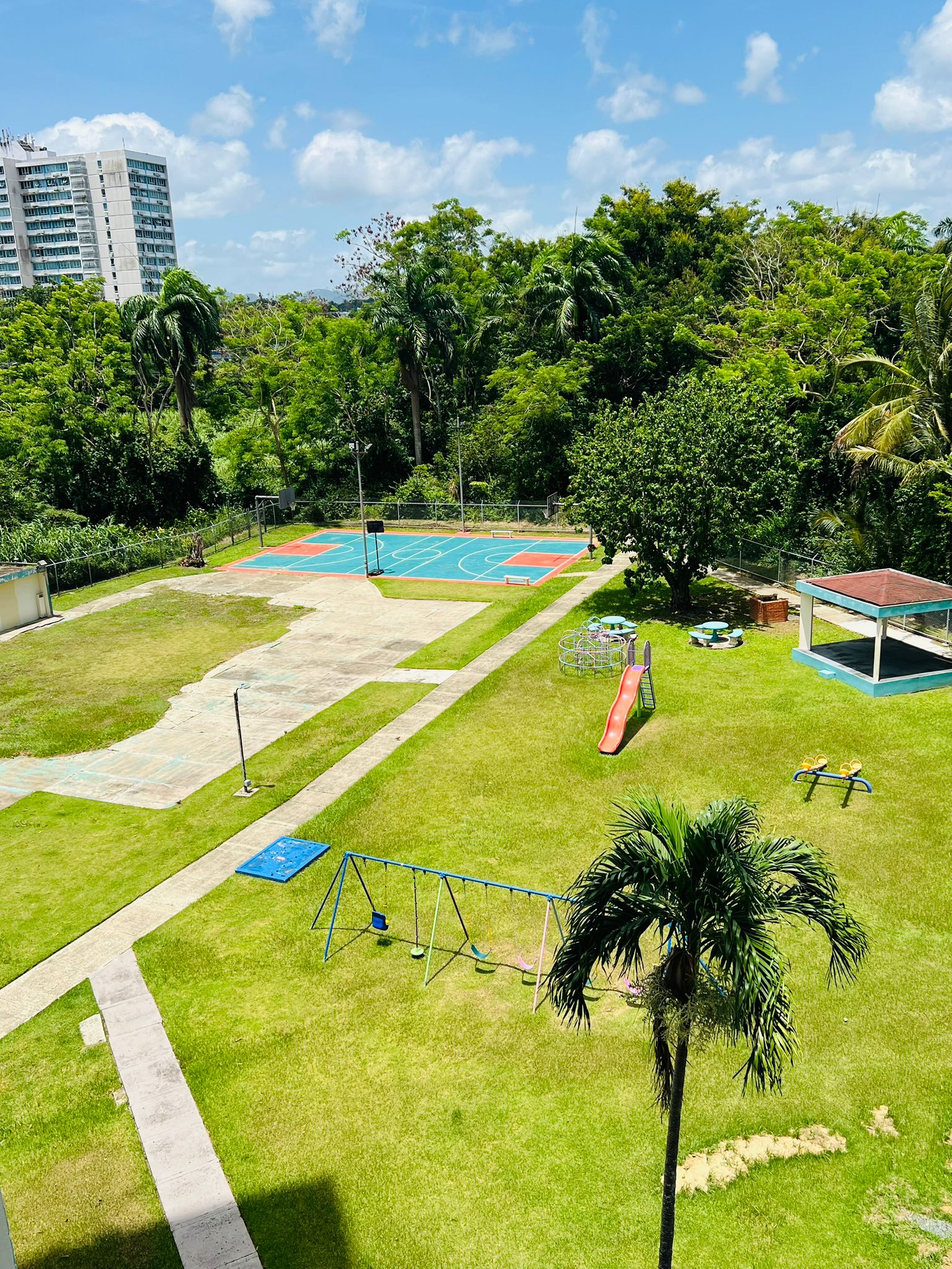 Apartamento Ideal en Carolina con Excelente Acceso — imagen 24