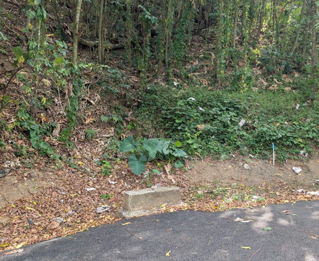 Terreno Residencial En El Sector Quebrada Arenas, Lote #1-A, Los Colones — imagen 4